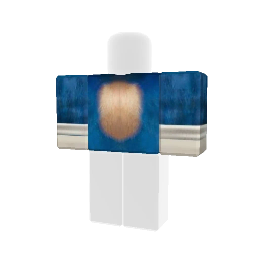 Sonic - Skin for Roblox by Destiny Petersen